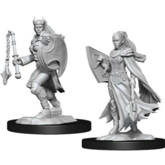 Kalashtar Cleric - Female 90233 - D&D Nolzur's Marvelous Miniatures